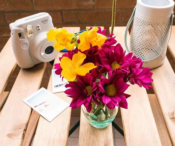 Buro Il Viaggiatore * Parma